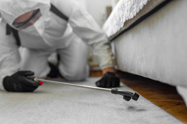 Professional Cockroach Control technician working in Hanscom AFB, MA