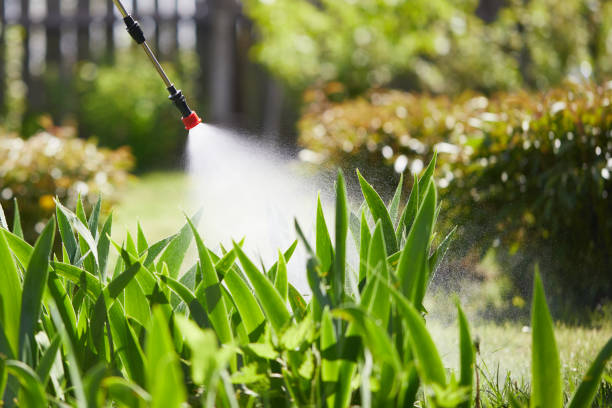 24/7 Emergency Cockroach Control experts in Hanscom AFB, MA