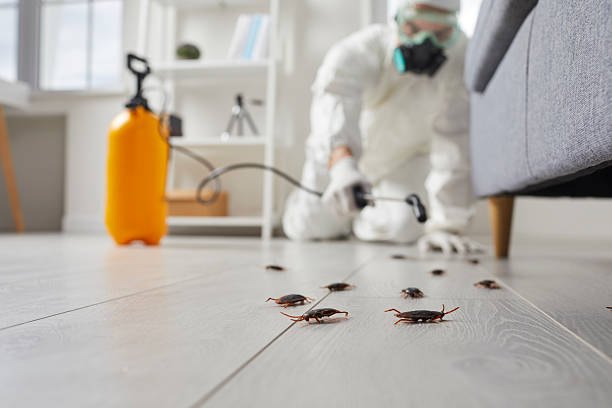 Affordable Cockroach Control solutions in Hanscom AFB, MA